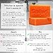 Solpri Shield Athletic Soap Bar Lemongrass Tea Tree Eucalyptus 4 oz (6 Pack)