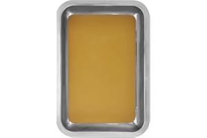 Generic Dissection Tray 12.20X8.26X1.37In Stainless Steel Wax Dissecting Plate for Biological Lab Experiments Durable and Saf