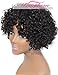 Persephone Brazilian Short Curly Remy Human Hair Wigs For Black Women None Lace Full Machine Made Natural Looking Best Virgin Human Hair Wig Natural Color 130% Density