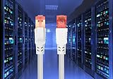 IBRA Cat8 Ethernet Cable SSTP 40Gbps 2000Mhz RJ45 Round White 1M Network Lan view 8