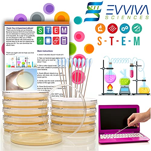 Nutrient Agar Science Project Kit by Evviva Sciences Prepoured Agar
