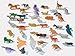 GET-TRADE Animals Figures | Total 68 Pieces | Mini Jungle Animals Toys Set | Realistic Wild Vinyl Plastic Animal | Learning Party Favors Toys for Kids