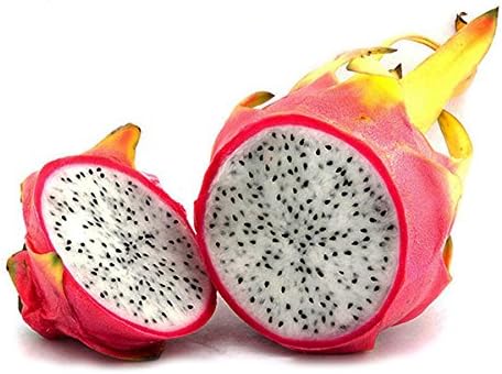 Kingduo 50 Pcs Pack Pitaya Graines Rouge Dragon Blanc Fruit Des Semences D Arbres De Plantes Cour Exterieure Blanc Amazon Fr Cuisine Maison
