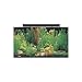 SeaClear 50 gal Acrylic Aquarium Combo Set, 36 by 15 by 20
