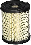 Tecumseh 34782B Air Filter