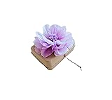 Generic Biodegradable Urn for Water and Ground