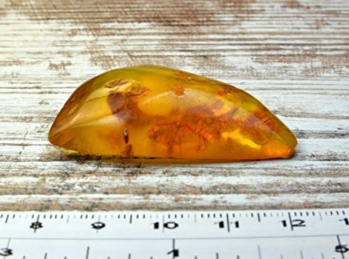 6.4 g Natural POLISHED Genuine Baltic Amber Stone Great for Making Brooch, Necklace, Pendant or Just Having It BBS215
