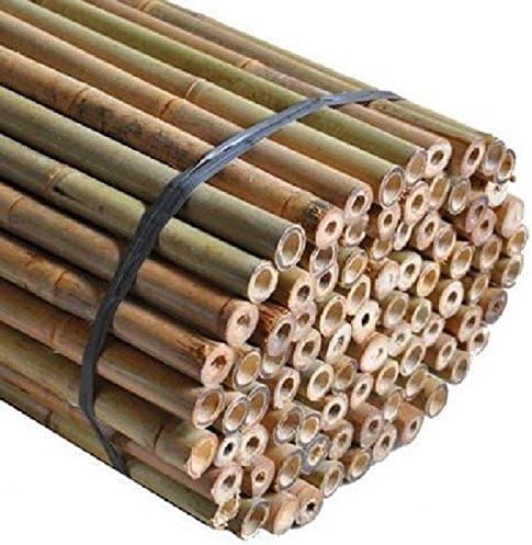 Sandal Stars Heavy Duty Thick Strong Professional Bamboo Plant Support Garden Canes 2ft x 7ft, 8mm to 16mm Thick Cheap Budget Price 40, 4ft (120cm)