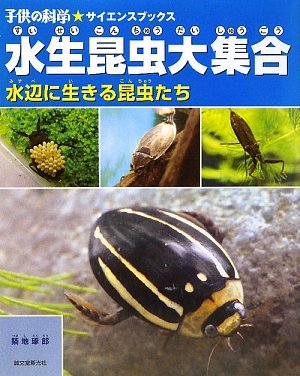 水生昆虫大集合 水辺に生きる昆虫たち 子供の科学サイエンスブックス 築地 琢郎 本 通販 Amazon