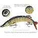 Goture Pike Muskie Multi Jointed Hard Fishing Lure Swimbaits Life-Like Baits 8 Segments with Black Treble Hooks for Freshwater Saltwater Fishing (8'', 2.36oz)