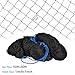 Mcage 25' X 50' or 50' X 50' Net Netting for Bird Poultry Aviary Game Pens New 1