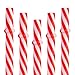 Dakoufish 12 Piece 9 Inch Reusable Plastic Thick Drinking Straws BPA Free Mason Jar Straws transparent small Stripe (9inch Red)