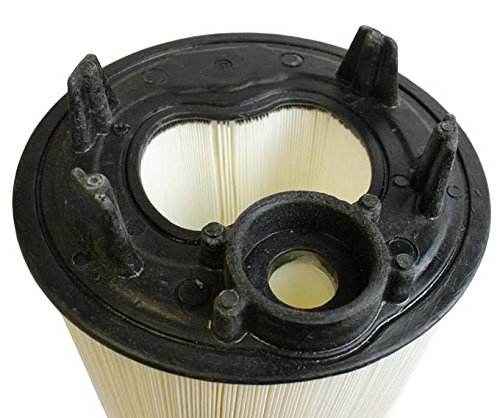 Pentair 27002-0200S Filter Module Replacement Sta-Rite System 2 Modular Media PLM200 Pool and Spa Cartridge Filter