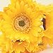 S.Ena, 1 Branch 1 Head Artificial Silk Fake Flowers Gerbera Daisy Wedding Floral Home Decor Bouquet Birthday Party DIY, Pack of 7 (Yellow)