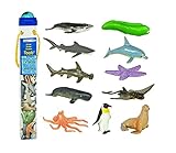 Safari Ltd Ocean TOOB  Comes With 12 Different Hand Painted Animal Toy Figurine Models  Including Sea Lion, Eagle Ray, Starfish, Turtle, Penguin, Octopus, Humpback Whale, Sperm Whale, Moray Eel, Hammerhead Shark, Tiger Shark, and Dolphin  For Ages 5 