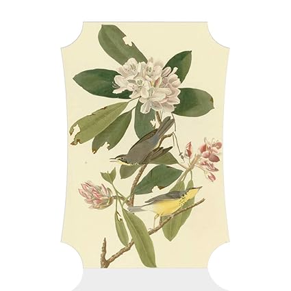 Amazon Com Sign Destination Aluminum Metal Wall Decor Audubon