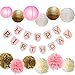 Paxcoo Pink and Gold Party Supplies for Birthday Decorations (Pink and Gold Party Supplies with Birthday Banner)