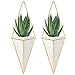 Nellam Ceramic Planter - Modern Geometric Hanging Wall Pot with Brass Frame - Large Mounted Decorative Vase & Container for Indoor Plants & Succulents - Potter for Flower, Herbs, Vegetable Planting