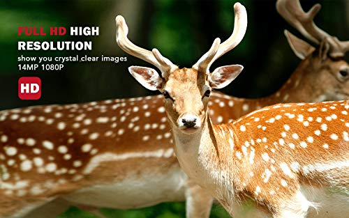 1 usogood+Activated+Waterproof+Wildlife+Surveillance