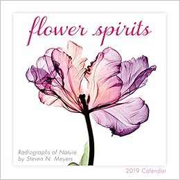 Flower Spirits 2019 Mini Calendar Flower Spirits 2019 Mini Calendar