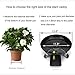 Abetree 2 Pack 13.6″ Metal Plant Caddy with Locking Wheels Heavy Duty Round Flower Pot Mover Indoor Rolling Planter Dolly on Wheels Outdoor Planter Stand with Drainage Hole and Tray, Blackthumb 2