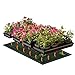 iPower GLHTMTS Durable Waterproof Seedling Heat Mat Warm Hydroponic Plant Germination Starting Pad, 10
