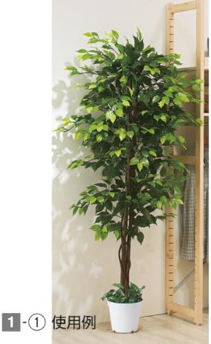 人工観葉植物 ベンジャミン 立ち木 グリーン H180cm 25 Off 1台 大型サイズ 造花 天然幹 人工樹木 フェイクグリーン