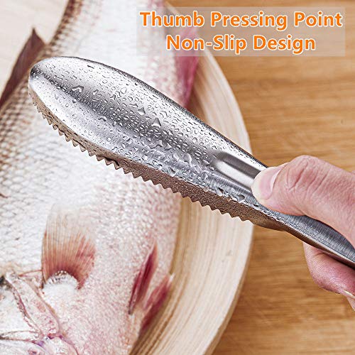 SUPERBEAR 2 Pieces Fish Scaler Remover Fish Scaler Brush with 58 Stainless Steel Sawtooth Easily Remove Fish Scales Skin Cleaning Tool Scraper for Chef and Home Cooks