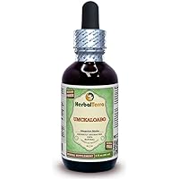 Amazon.com: Herbal Terra LLC Kava Kava (Piper Methysticum