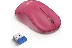 TECKNET Wireless Mouse for Laptop, 2.4G Silent Computer Mouse Quiet Click with 5 DPI Levels,Contoured Grip,Small Portable 30 