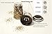 Homeerr P1638068 Salt and Pepper Grinder Set, Adjustable Ceramic Rotor(Set of 2)