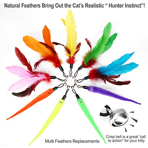 3 Feather+Retractable+Assorted+Interactive+Exerciser
