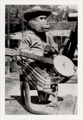 Monkey with Banjo - Sunrise Greetings Funny Birthday Card