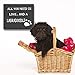 JennyGems Labradoodle Mom Gift - All You Need is Love and a Labradoodle Wooden Sign - Funny Labradoodle Owner Decor, Wall Art or Shelf Display, Made in USA