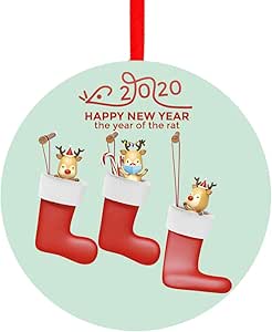 Download Christmas Ornaments | Our First Christmas 2020 Funny ...