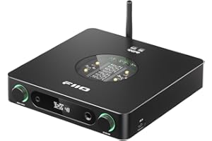 FiiO K13 R2R Desktop DAC & Headphone Amp, High-Fidelity 24Bit R2R DAC, Powerful 2400mW Output, LDAC Bluetooth Streaming, Dual Power Supply, 10-Band PEQ, Balanced XLR & RCA Audio Output (Black)