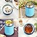 ZTXPRO Insulated Lunch Container Food Jar Hot & Cold Stainless Steel Vacuum Box with Handle 16 oz Leak Proof Design Food Storage Bento Lunch Box for Picnic Office Outdoors - Blue