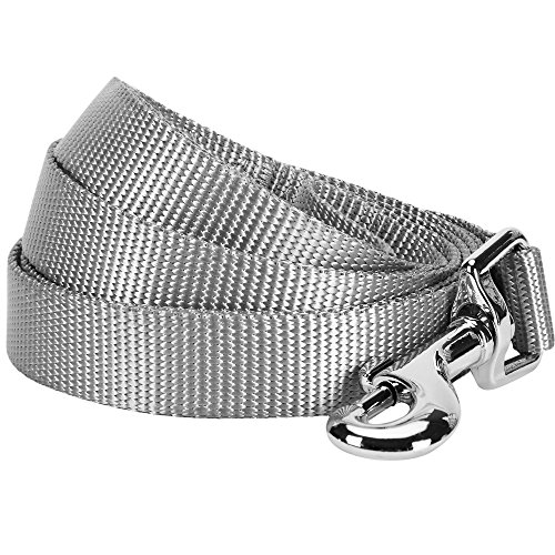 Blueberry Pet Essentials 19 Colors Durable Classic Dog Leash 5 ft x 3/4", Flint Gray, Medium, Basic Nylon Leashes for Dogs
