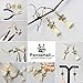 PandaHall Elite 120 Pcs Brass Earring Hook Ear Wires French Fish Hooks with Ball and Coil Nickel Free 6 Colors for Jewelry Making