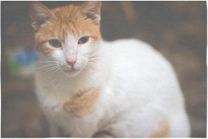 Tapisserie Exterieure Mignon Bouleverse Triste Malheureux Chat Beaute Corps Animal Ferme Tenture Murale Psychedelique Indien Accrochez Mur Art Dortoir Decor Pour Salon Chambre 60 40 Pouces 152 Cm Amazon Fr Cuisine Maison Tapisserie Exterieure Mignon Bouleverse Triste Malheureux Chat Beaute Corps Animal Ferme Tenture Murale Psychedelique Indien Accrochez Mur Art Dortoir Decor Pour Salon Chambre 60 40 Pouces 152 Cm Amazon Fr Cuisine Maison