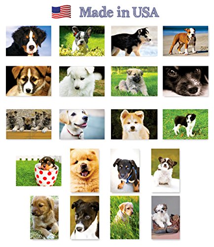 PUPPIES postcard set of 20 postcards. Puppy post card variety pack. Made in USA.