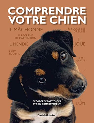 Comprendre votre chien : Décodez les attitudes et le comportement de votre chien by David Alderton