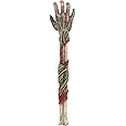 Horror Walking Undead Zombie Hand Back Scratcher