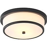 MIAOMEIO 12 inch Flush Mount Ceiling Light, 2-Light Close to Ceiling Light Fixtures with Black Finish for Bathroom Bedroom Kitchen Hallway (Black)