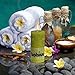 Bolsius Rustic Set of 6 Unscented Pillar Candles 2.75X5 Inch Lime Home Decoration Dripless Cotton Wick Dinner Candles Prefect for Parties, Restaurant, Spa, Church, Anniversary, (130x68mm)