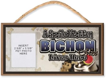 Bichon Mix "A Spoiled Rotten Bichon Mix Lives Here" Wooden Dog Sign with Clear Insert for Your Pet Photo