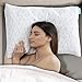 BLISSBURY SpineRight ​Adjustable Water Pillow with Ultra Soft White Cover, Bamboo and Polyester, Queen Size - ​Side​ ​Sleeper, Pregnancy, and Neck Support Pillows - Quilted, Premium, Luxurious Bedding