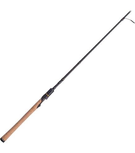 Best Rod And Reel For Inshore Saltwater Fishing – Savage Gear Squad Inshore Spinning Saltwater Rod - Amazon.com