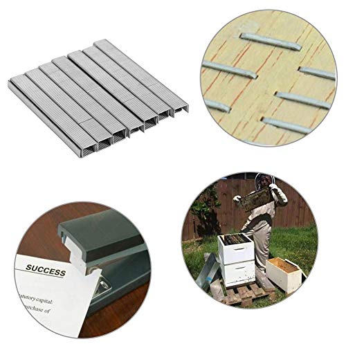 Jocestyle 1000pcs Box U/Door/T Shaped Staples 10x6mm Beehive Box Nails for Staple Gun Stapler