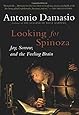 Looking for Spinoza: Joy, Sorrow, and the Feeling Brain